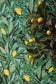Cassis Wallpaper - Feuille Jaune - Caselio - 105457720