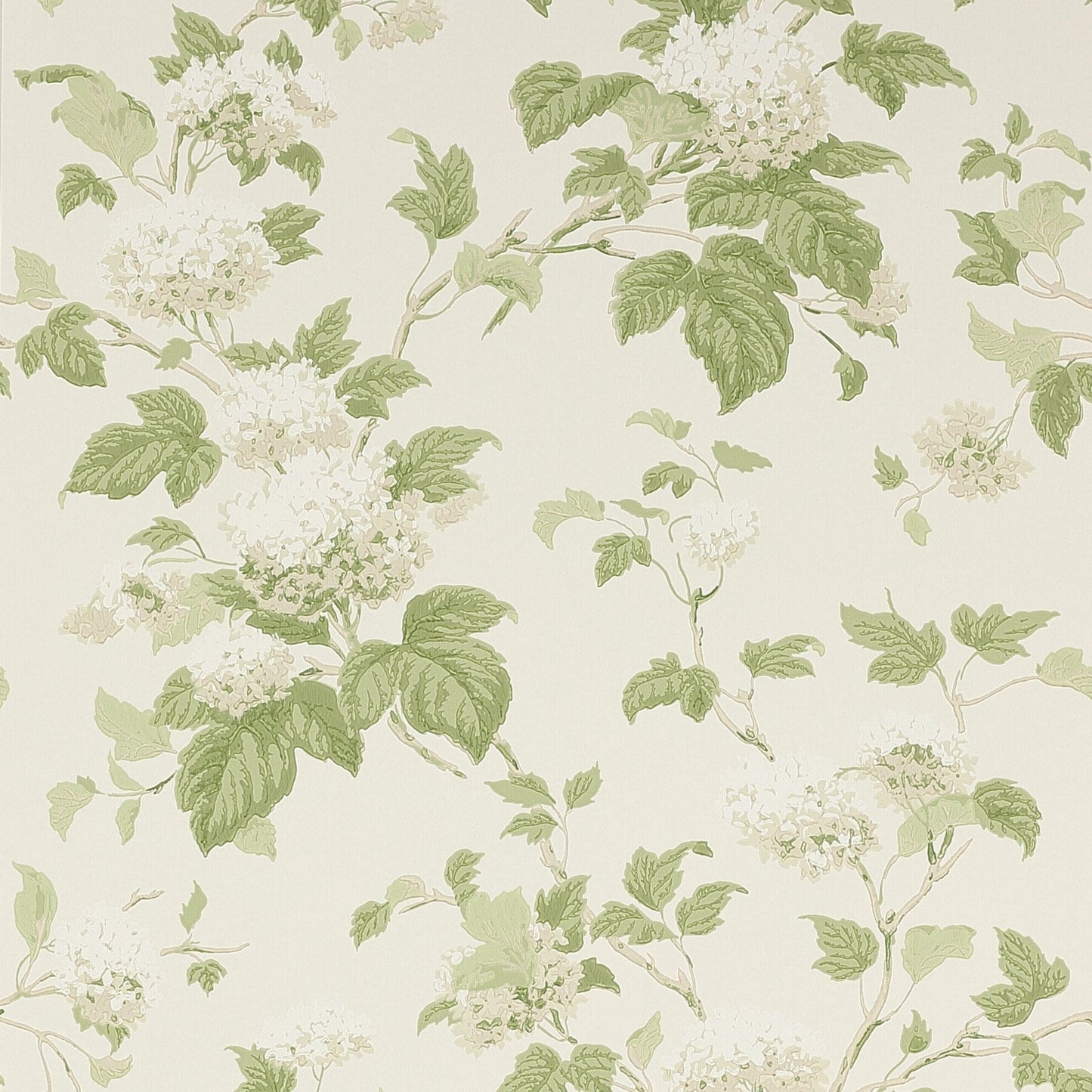 Chantilly Wallpaper - Ivory/Leaf Green - Colefax & Fowler - 07816/09 - Premier Wallcovering