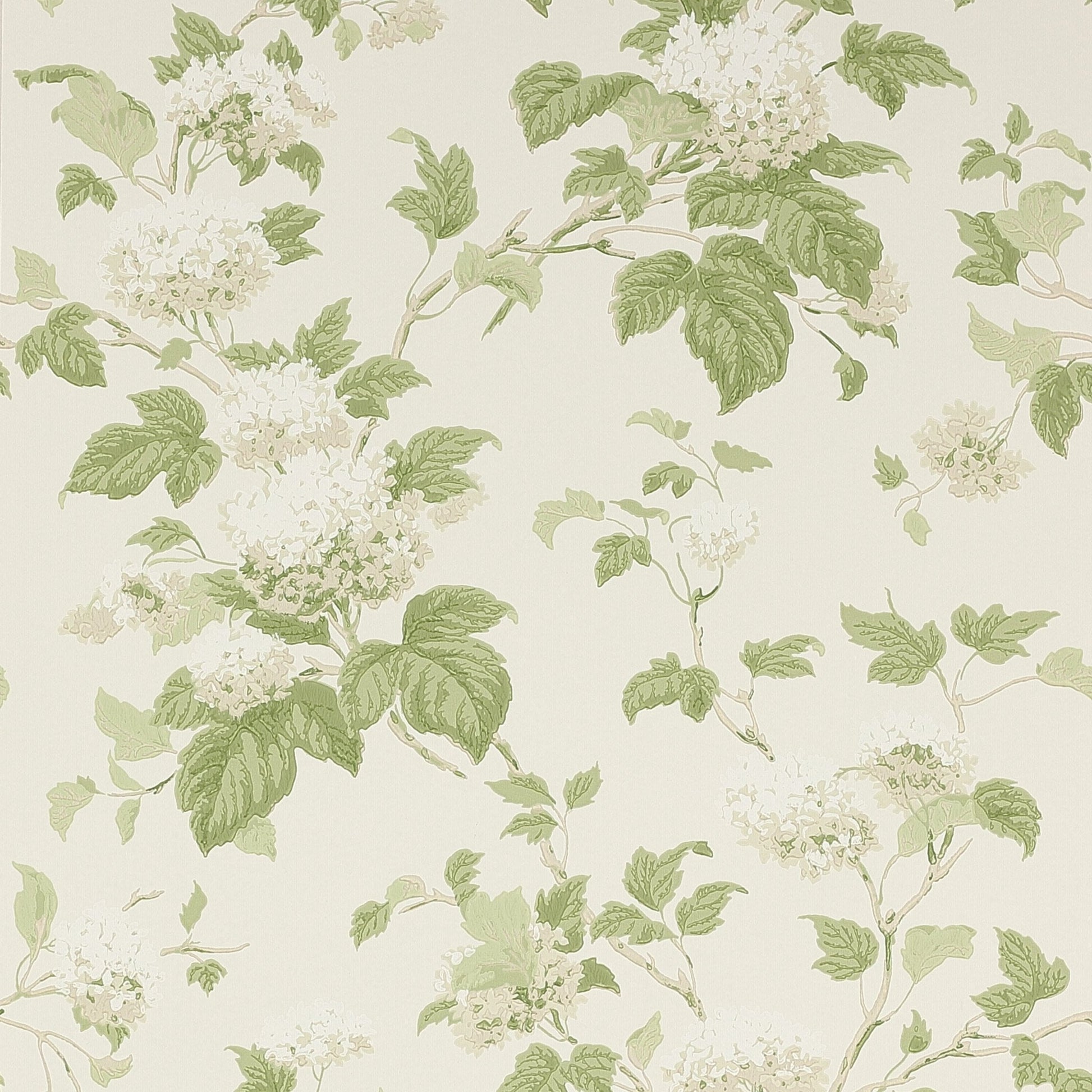 Chantilly Wallpaper - Ivory/Leaf Green - Colefax & Fowler - 07816/09 - Premier Wallcovering