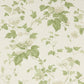 Chantilly Wallpaper - Ivory/Leaf Green - Colefax & Fowler - 07816/09 - Premier Wallcovering