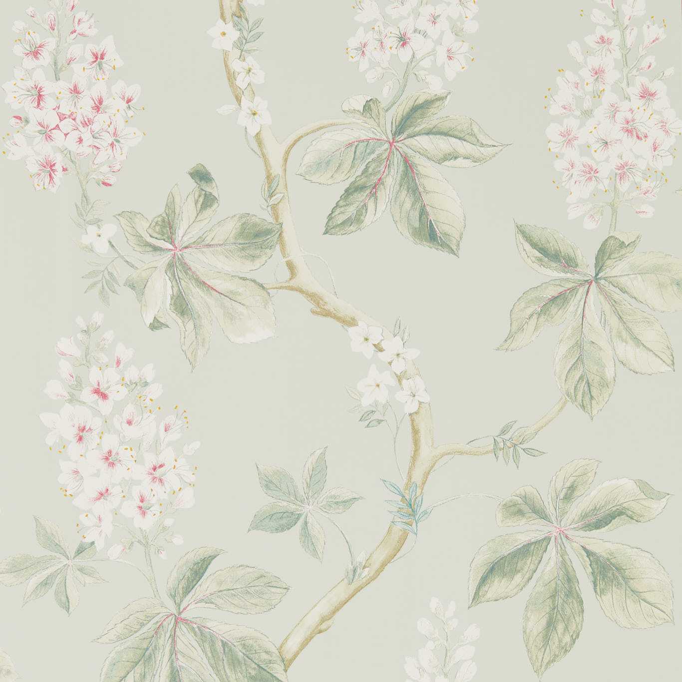 Chestnut Tree Wallpaper - Seaspray/Peony - Sanderson - DWOW215710