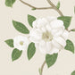 Christabel Wallpaper - Ivory/Cream - DVOY213380 - Sanderson