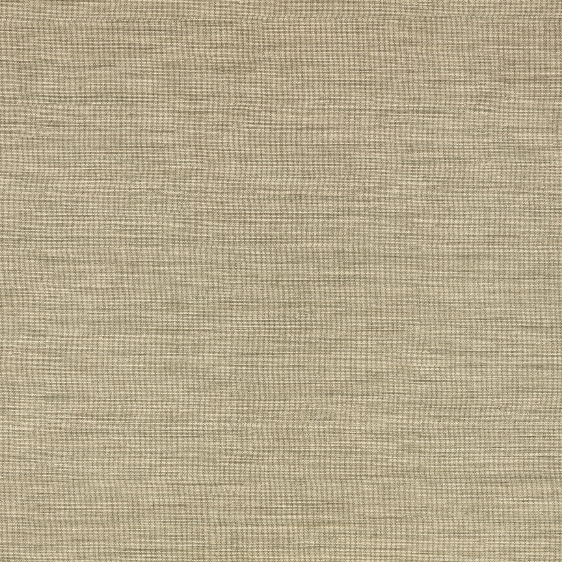 Ciro Abaca Embossed Wallpaper - Caper - Romo - Textured Vol.I - W462/15 - Premier Wallcovering