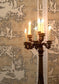 Classic Hunt Wallpaper - Beige - Timorous Beasties - TB/CLH/MICA/01 - Premier Wallcovering