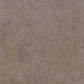 Constellation Wallpaper - Brown - Casadeco - 29581325 - Premier Wallcovering