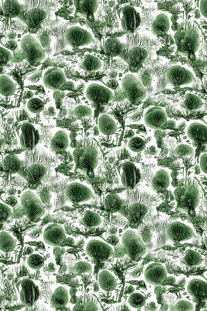 Coral Blotch Cork Wallpaper - Original - Timorous Beasties - SSC/CBLO/CK62021/01 - Premier Wallcovering