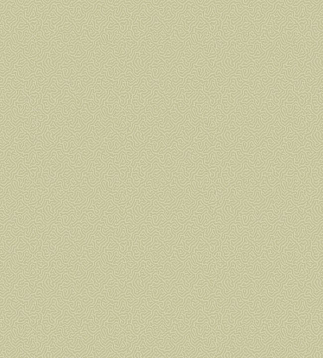 Coral Wallpaper - Soft Olive - 106/5067 - Cole & Son - Premier Wallcovering
