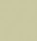Coral Wallpaper - Soft Olive - 106/5067 - Cole & Son - Premier Wallcovering