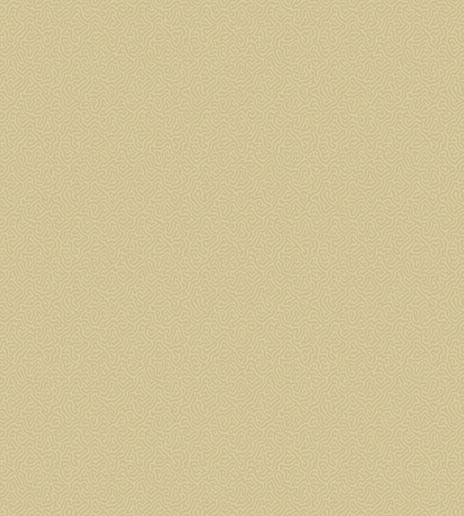 Coral Wallpaper - Oat - 106/5069 - Cole & Son - Premier Wallcovering