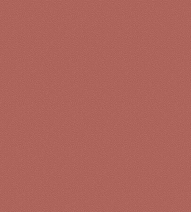 Coral Wallpaper - Red - 106/5076 - Cole & Son - Premier Wallcovering
