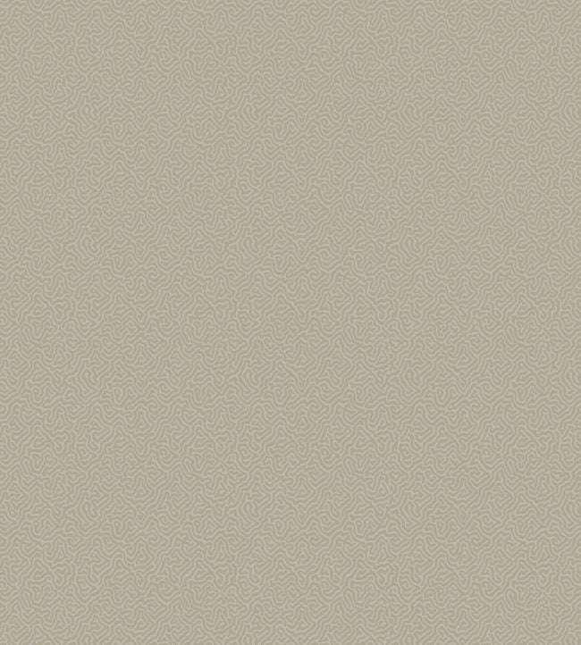 Coral Wallpaper - Grey - 106/5073 - Cole & Son - Premier Wallcovering
