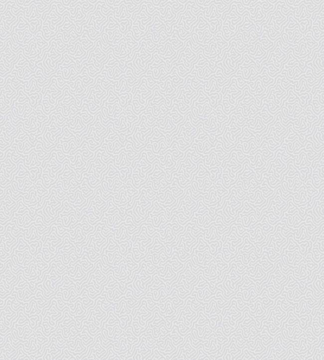 Coral Wallpaper - Dove - 106/5061 - Cole & Son - Premier Wallcovering