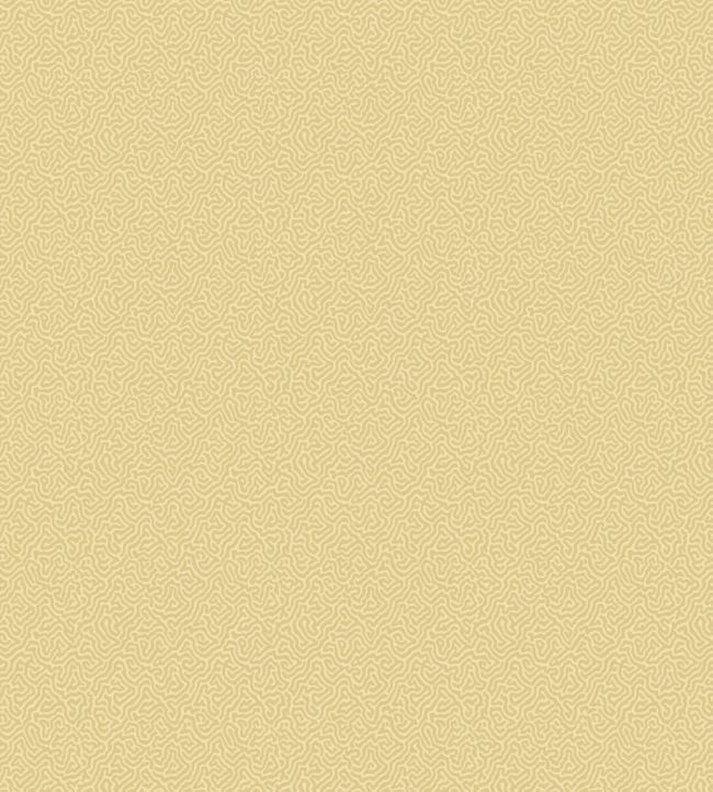 Coral Wallpaper - Ochre - 106/5074 - Cole & Son - Premier Wallcovering