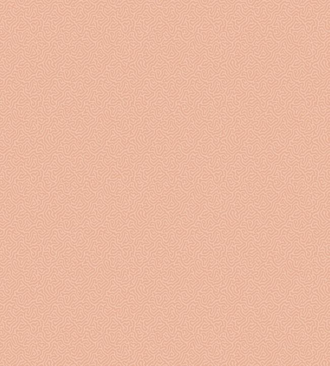 Coral Wallpaper - Coral - 106/5075 - Cole & Son - Premier Wallcovering