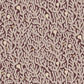 Coral Wallpaper - Spicer Brown - Josephine Munsey - JMW-101621 - Premier Wallcovering