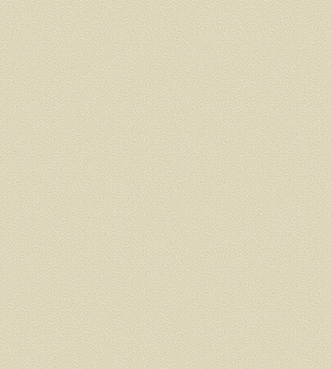 Coral Wallpaper - Parchment - 106/5071 - Cole & Son - Premier Wallcovering