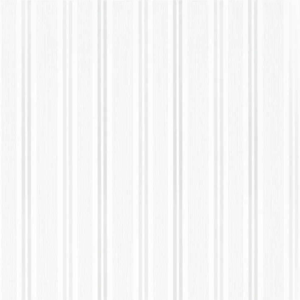 Cord Wallpaper - Platinum - P585/03 - Designers Guild