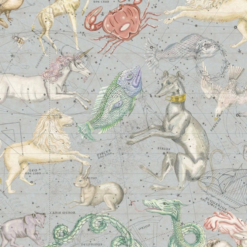 Cosmos Wallpaper - House of Hackney - 1 - WA - COS - DI - CEL - XXX - Premier Wallcovering