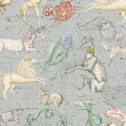 Cosmos Wallpaper - House of Hackney - 1 - WA - COS - DI - CEL - XXX - Premier Wallcovering