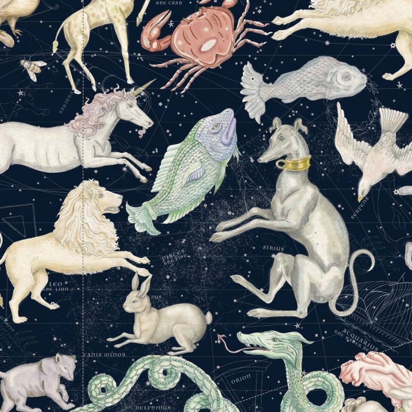 Cosmos Wallpaper - Midnight - House of Hackney - 1-WA-COS-DI-MID-XXX