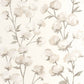 Cotton Flower Soliflore Wallpaper - Ficelle - Casadeco - 200291111 - Premier Wallcovering
