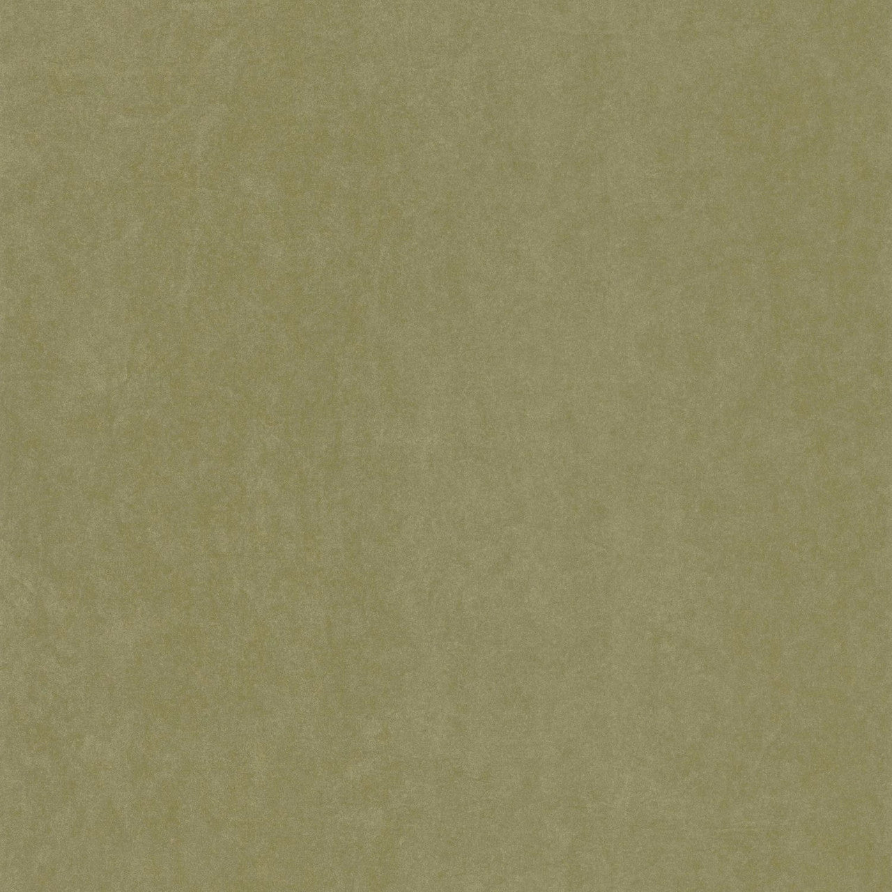 Cotton Touch Kiosque Wallpaper - Vert Olive - Casadeco - 82387749 - Premier Wallcovering