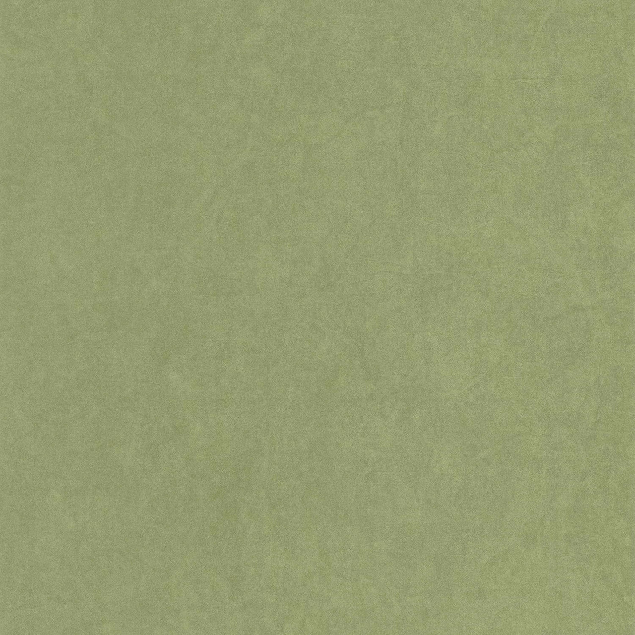 Cotton Touch Kiosque Wallpaper - Vert Cactus - Casadeco - 82387512 - Premier Wallcovering