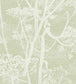 Cow Parsley Icons Wallpaper - Olive - 112/8029 - Cole & Son - Premier Wallcovering