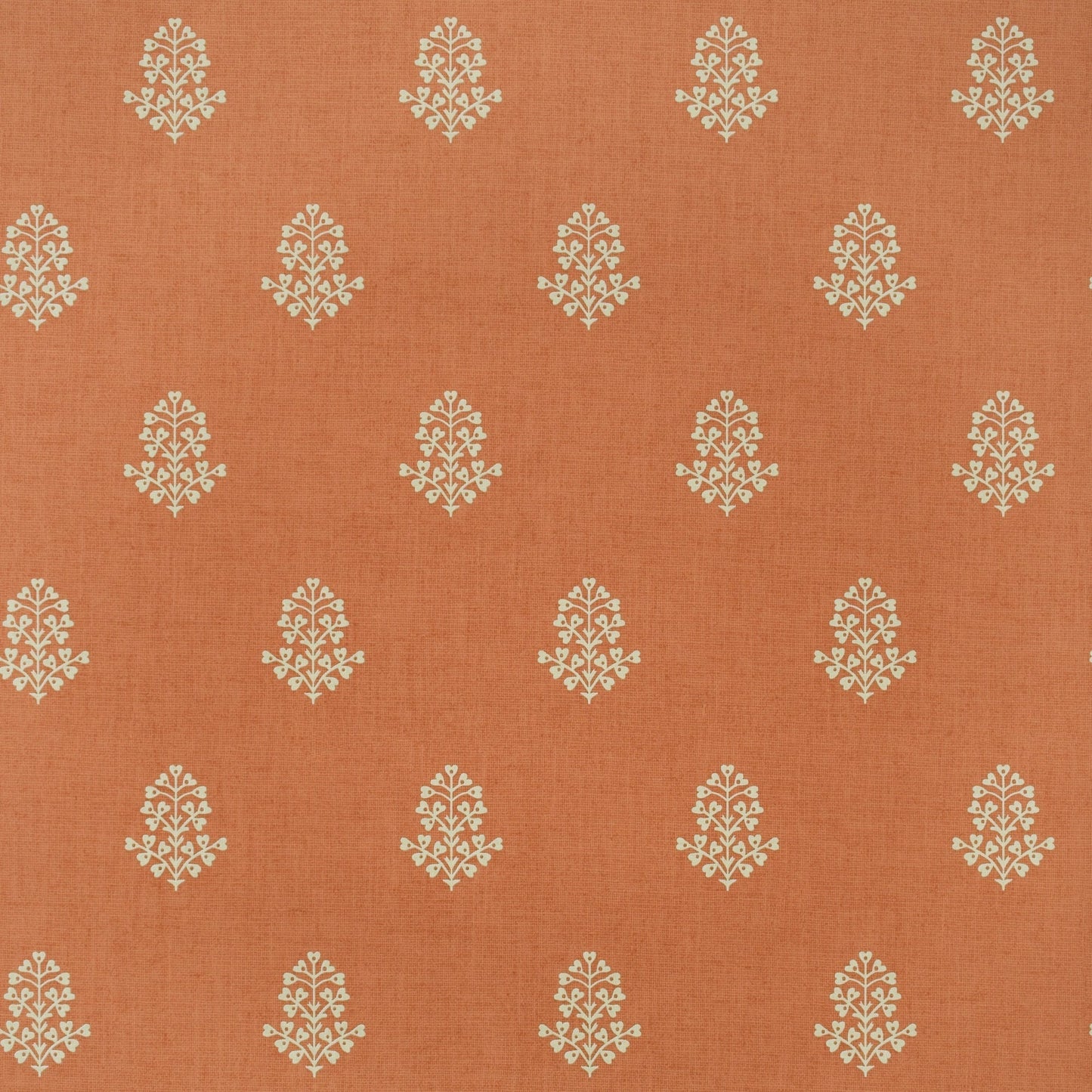 Cow Parsley Wallpaper - Clementine - Andrew Martin - GPWCPCL
