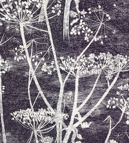 Cow Parsley Wallpaper - Soot & Snow - 66/7046 - Cole & Son - Premier Wallcovering