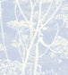 Cow Parsley Wallpaper - Buttercup & Powder Blue - 66/7050 - Cole & Son - Premier Wallcovering
