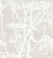 Cow Parsley Wallpaper - Stone & White - 95/9051 - Cole & Son - Premier Wallcovering
