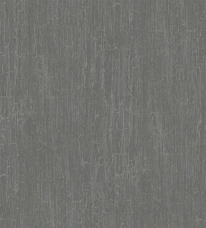 Crackle Curio Wallpaper - Metallic Gilver on Charcoal - 107/11050 - Cole & Son - Premier Wallcovering