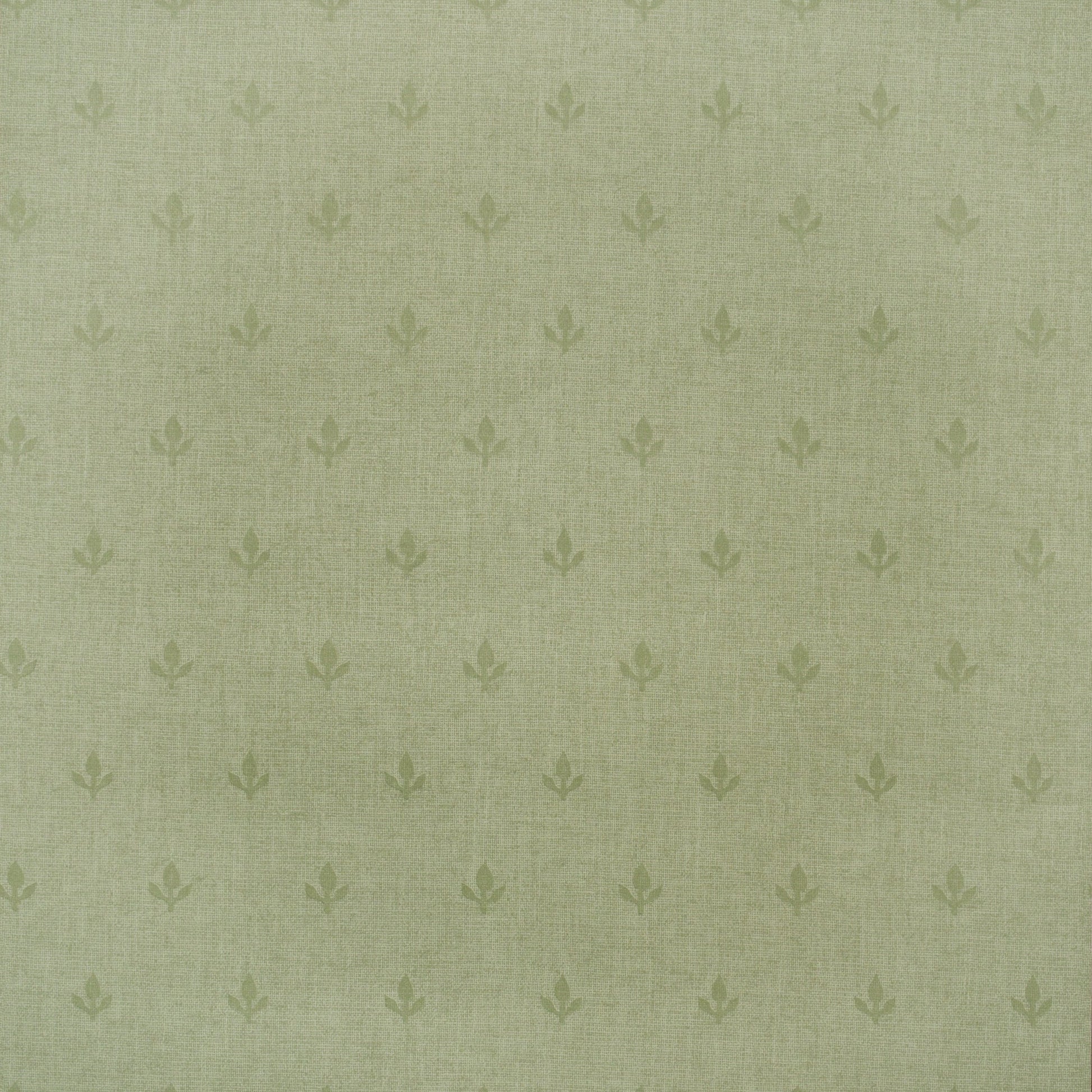 Crocus Wallpaper - Leaf Green - Andrew Martin - GPWCRLF