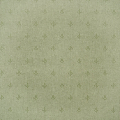 Crocus Wallpaper - Leaf Green - Andrew Martin - GPWCRLF