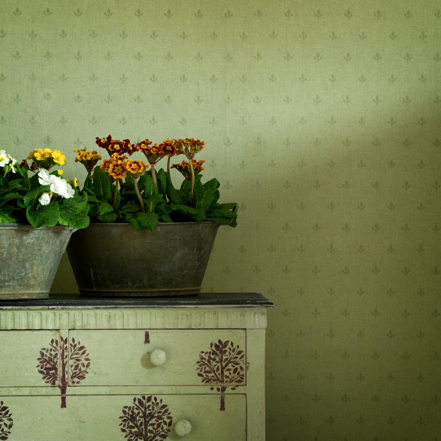 Crocus Wallpaper - Leaf Green - Andrew Martin - GPWCRLF