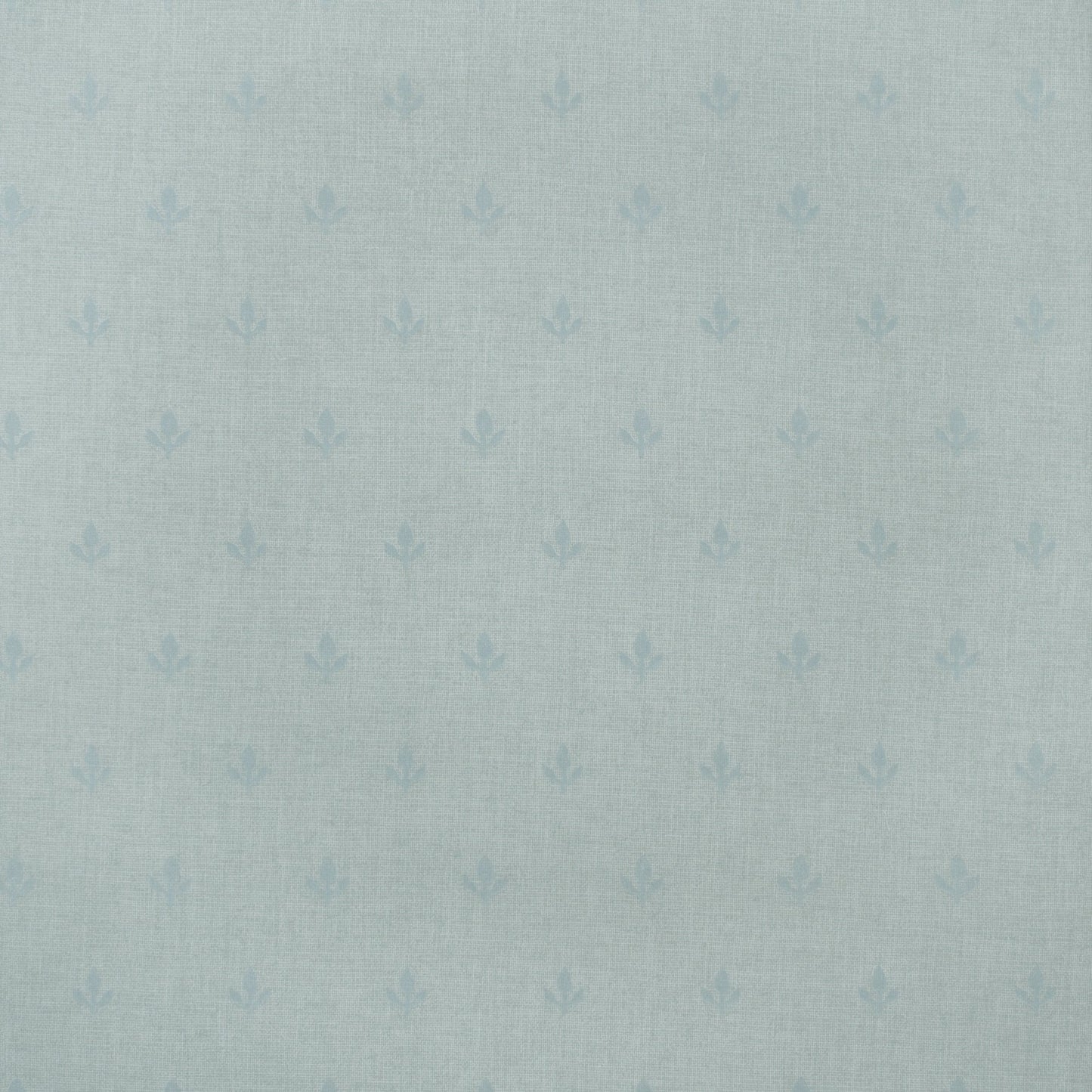 Crocus Wallpaper - Sky - Andrew Martin - GPWCRSK