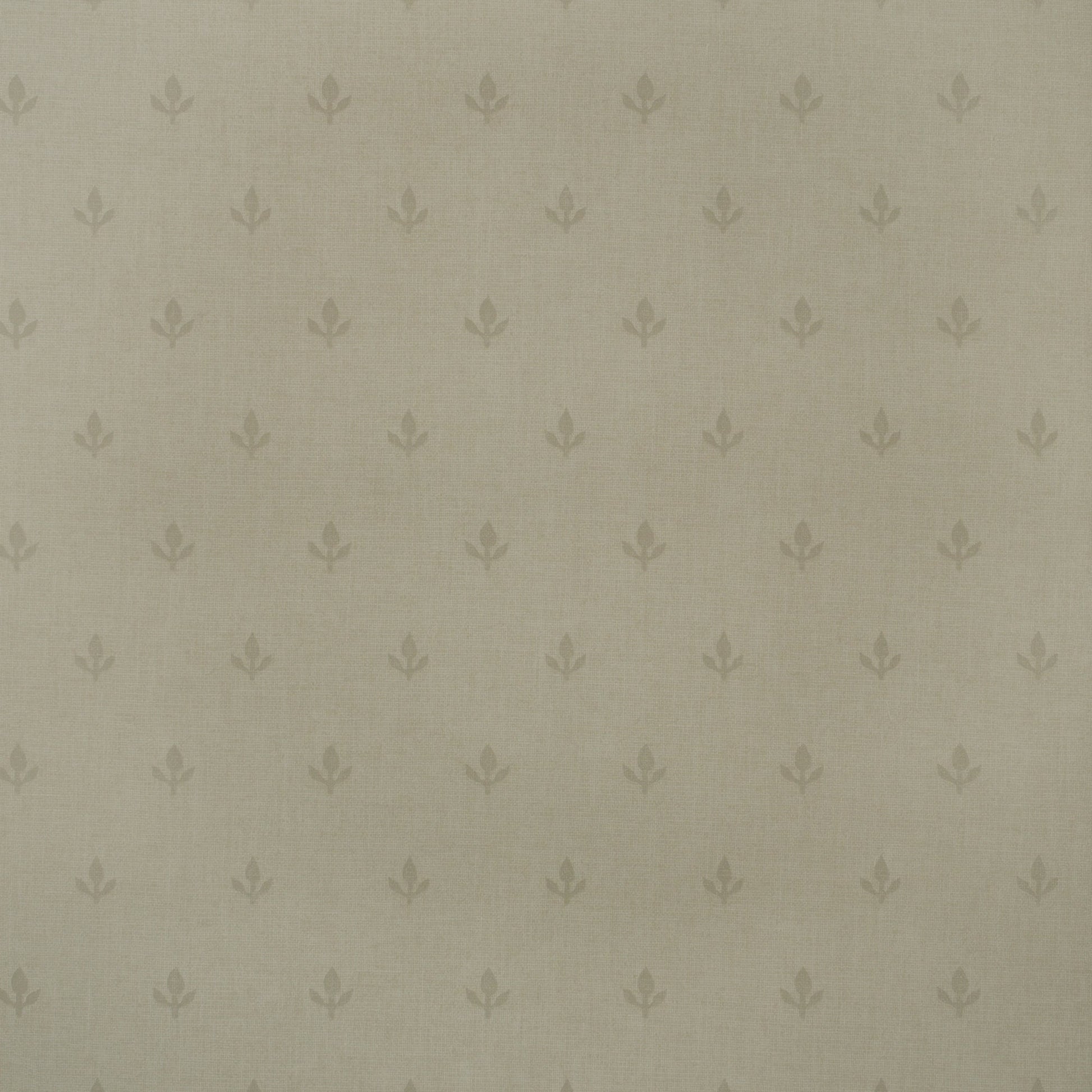 Crocus Wallpaper - Stone - Andrew Martin - GPWCRST