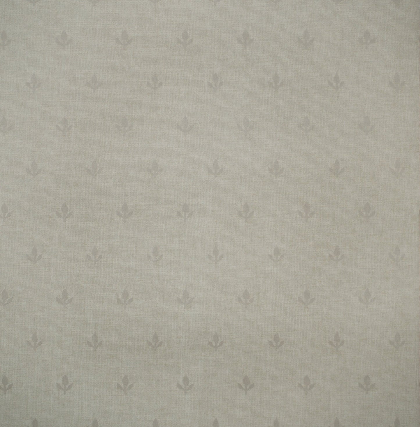 Crocus Wallpaper - Marl - Andrew Martin - GPWCRML