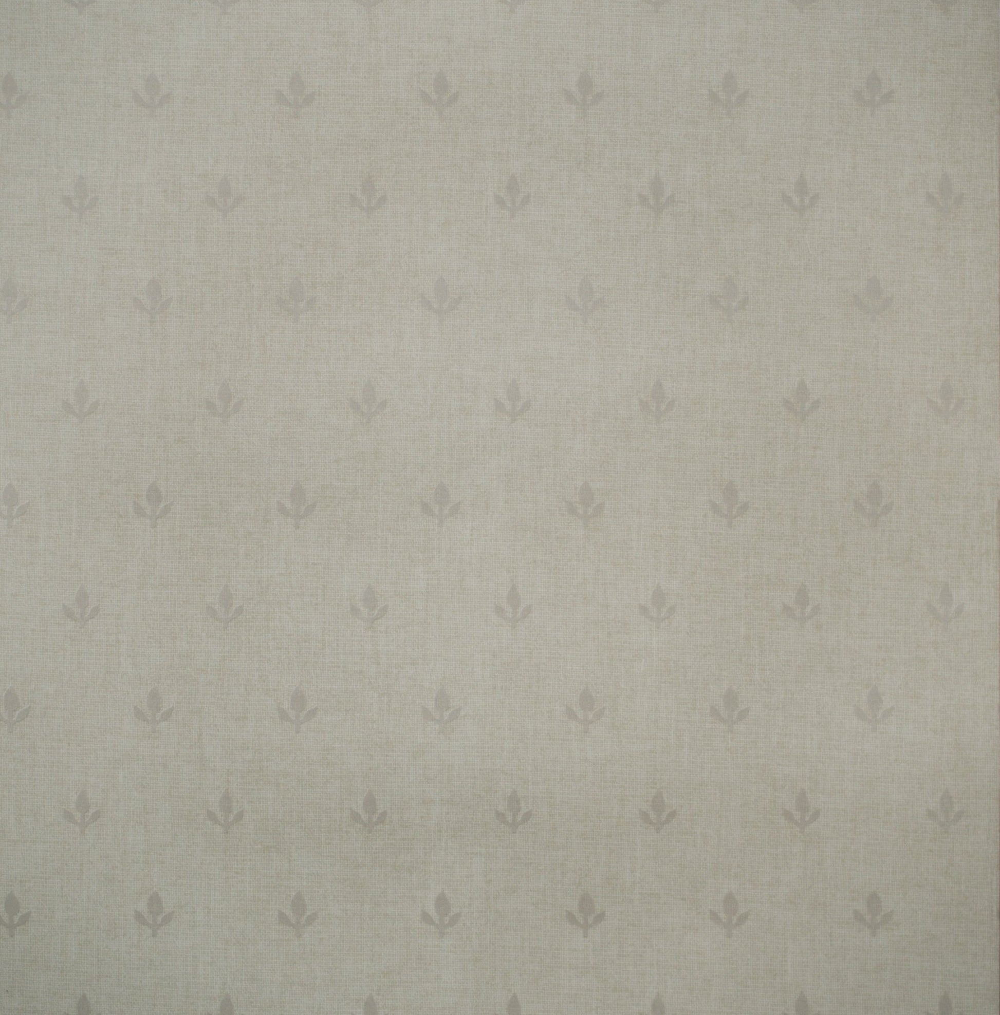 Crocus Wallpaper - Marl - Andrew Martin - GPWCRML