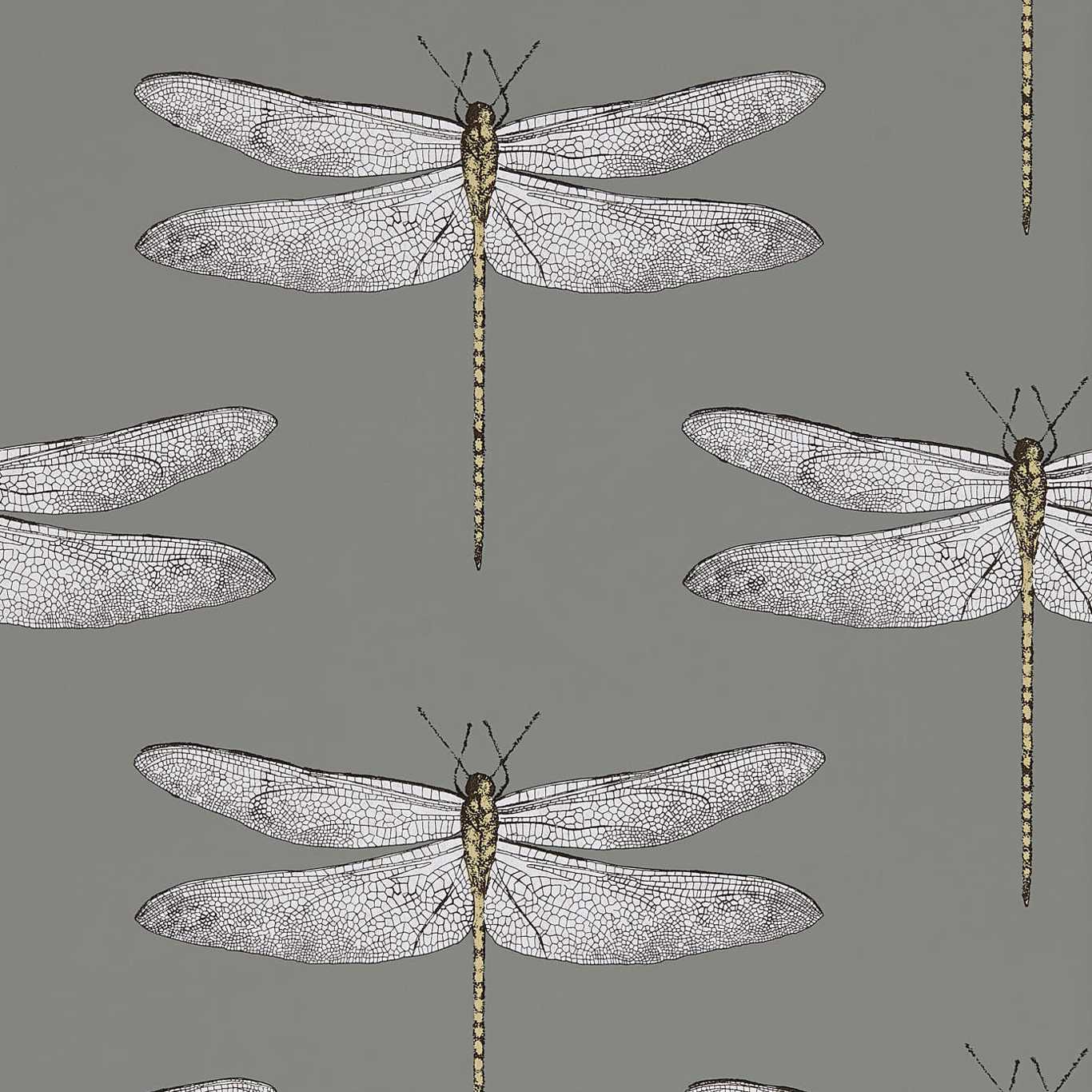 Demoiselle Wallpaper - Graphite/Almond - Harlequin - HGAT111242