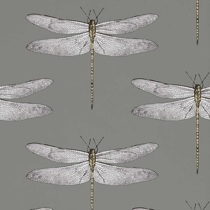Demoiselle Wallpaper - Graphite/Almond - Harlequin - HGAT111242