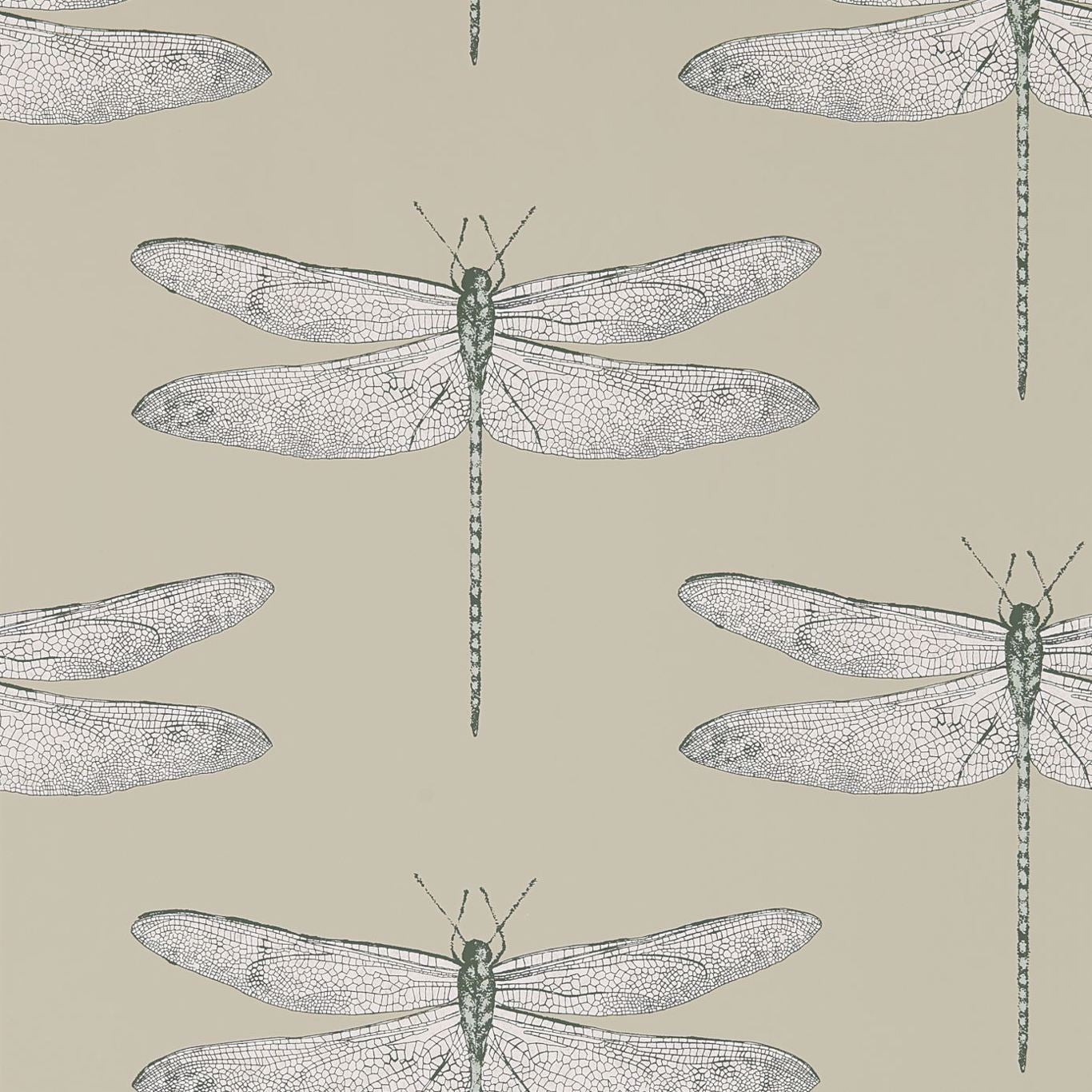 Demoiselle Wallpaper - Jute/Slate - Harlequin - HGAT111241