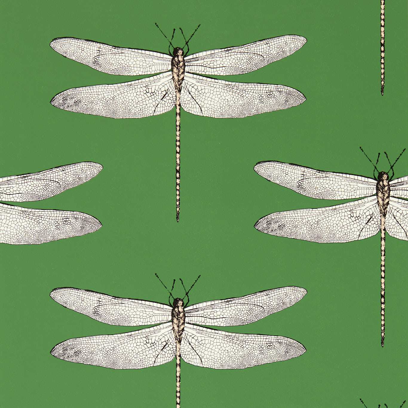 Demoiselle Wallpaper - Kelly/First Light/Blush - Harlequin - HRTW113143