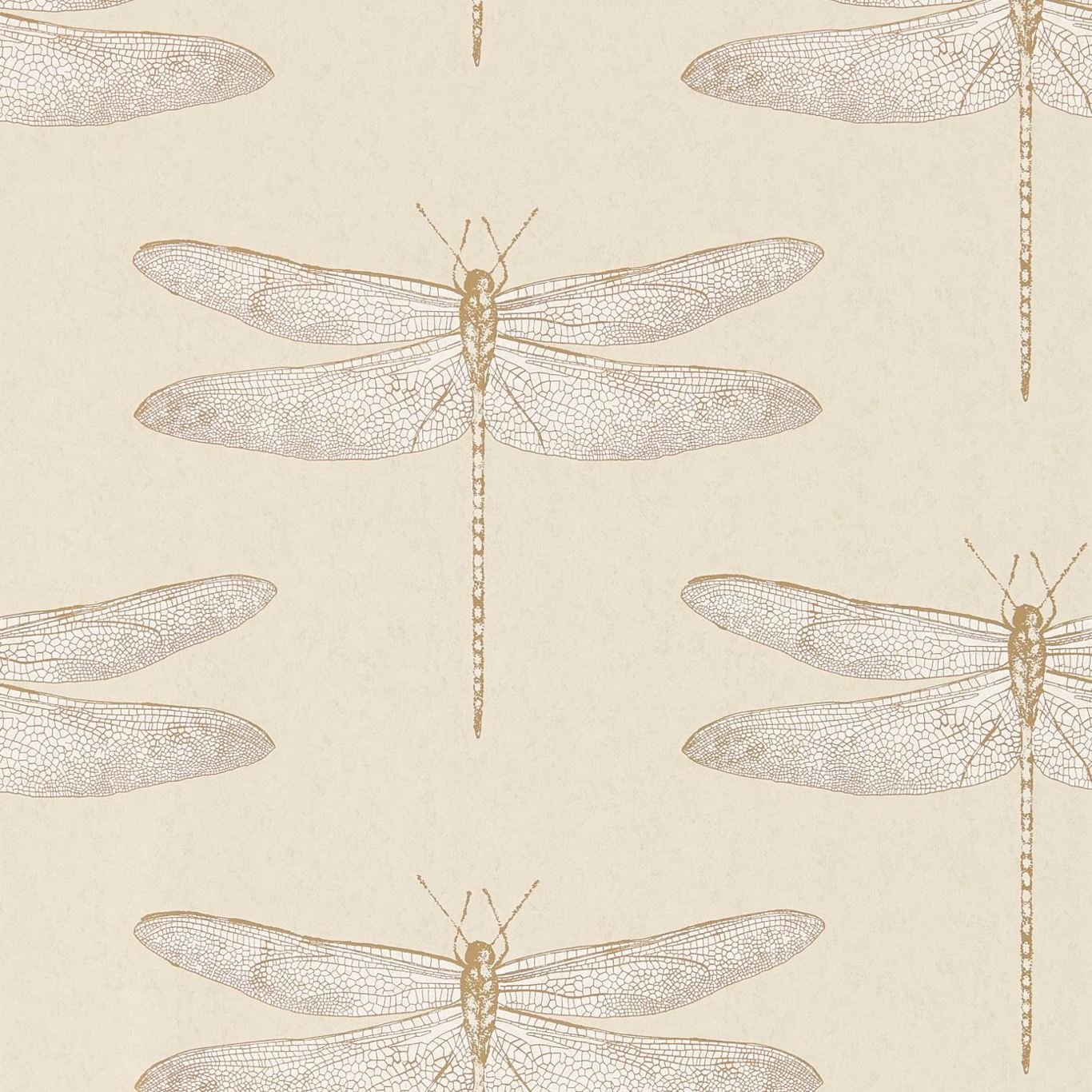 Demoiselle Wallpaper - Shell - Harlequin - HGAT111239