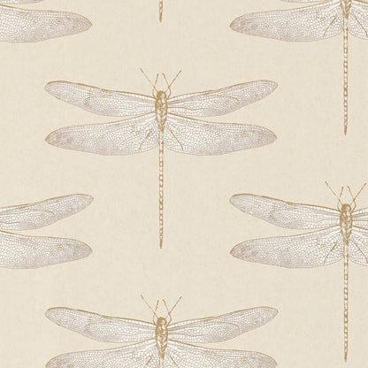 Demoiselle Wallpaper - Shell - Harlequin - HGAT111239