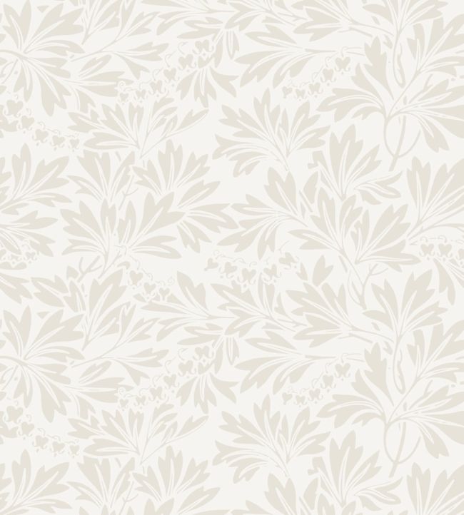 Dialytra Wallpaper - Shell on Parchment - 88/11045 - Cole & Son - Premier Wallcovering