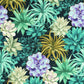 Echeveria Botanica Wallpaper - Bleu Turquoise - Casadeco - 85916585 - Premier Wallcovering