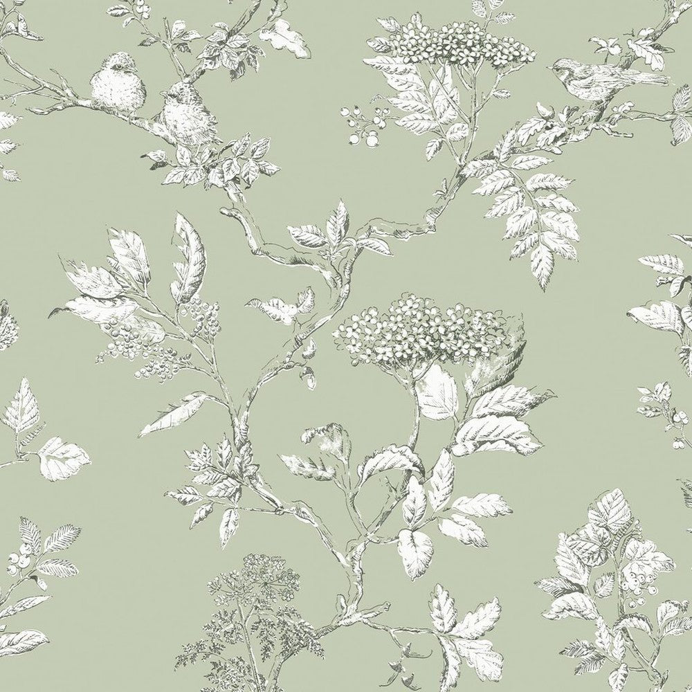 Elderwood Wallpaper - Sage - Laura Ashley - 113348 - Premier Wallcovering