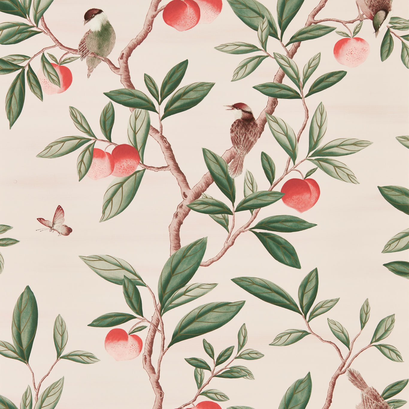 Ella Wallpaper - Powder/ Sage / Peach - Harlequin - HDHW112907